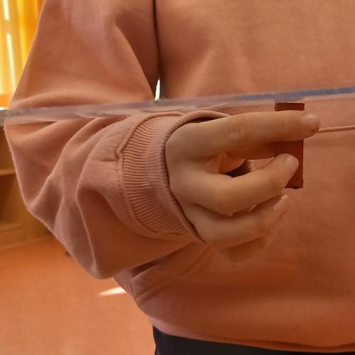 3a
