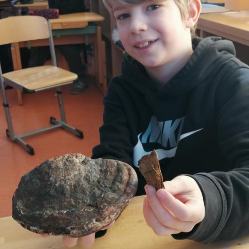 TKS Ötzi