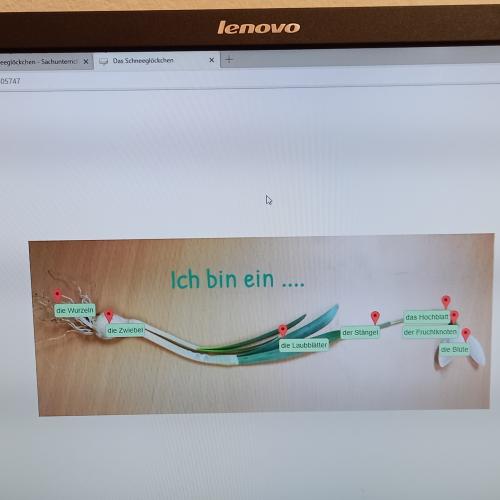 Frühling