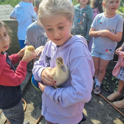 Besuch beim Kleintierzüchter Johannes Göbhart