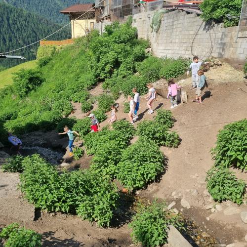 Besuch beim Kleintierzüchter Johannes Göbhart
