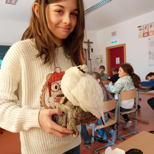 Wasserschule