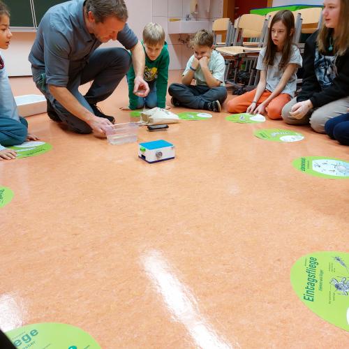 Wasserschule