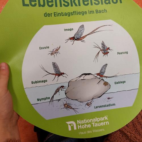 Wasserschule
