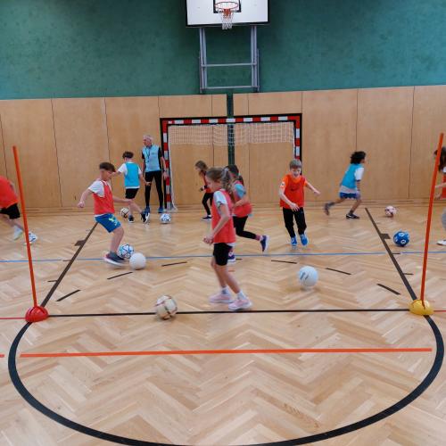 Fußball Franz