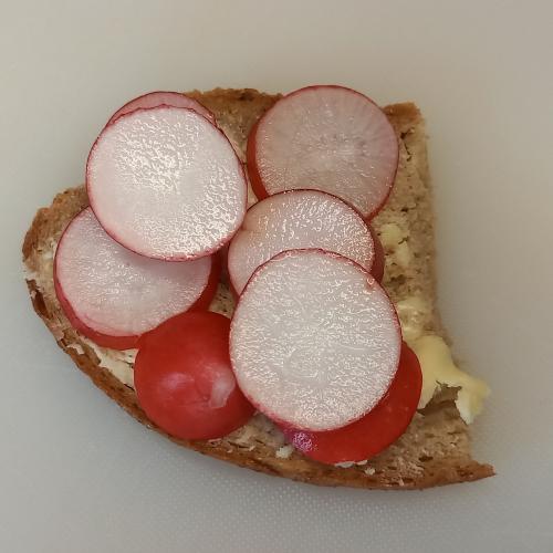 Radieschen