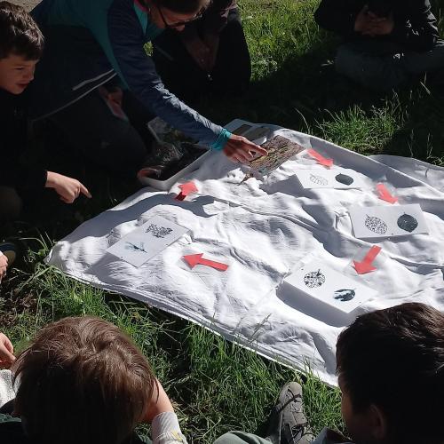 Schulprogramm - "Unser Boden - i steh auf di"