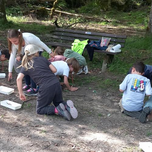 Schulprogramm - "Unser Boden - i steh auf di"