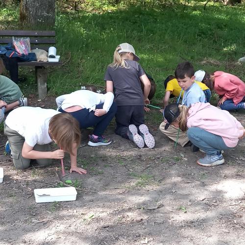 Schulprogramm - "Unser Boden - i steh auf di"