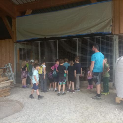Bauernhofbesuch - Reasnhof