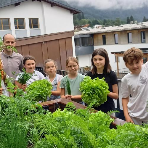 Hochbeet - zweite Ernte