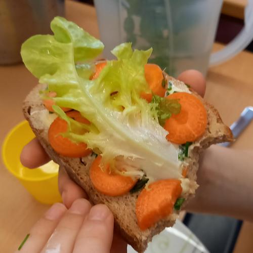 Hochbeet - zweite Ernte