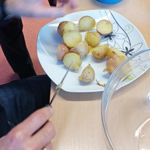 Schölfeler