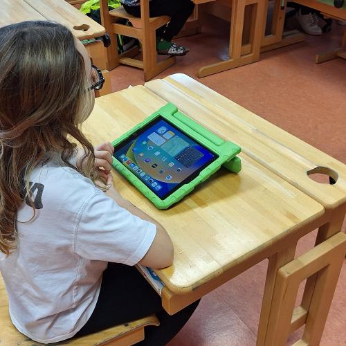 Erstes Arbeiten mit dem iPad mit DIDI Coach Mathias