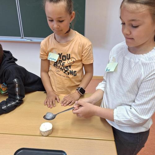 Umweltprojekt