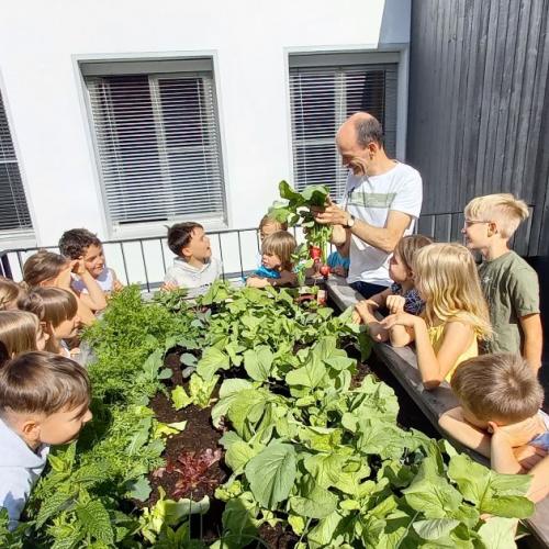 Hochbeet - erste Ernte - Radieschenbrote