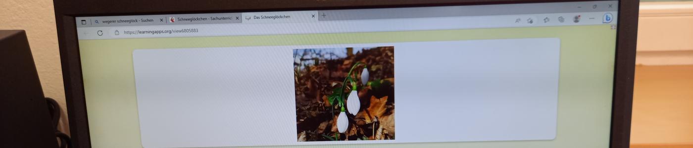 Frühling